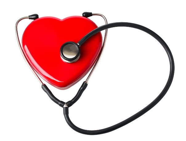 heart